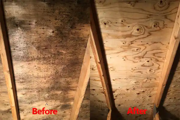 water damage restoration service Vadnais Heights